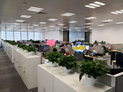 喬遷大吉！級掌柜新辦公空間全面揭秘，科技與舒適完美融合