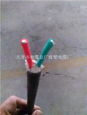 天津市電纜總廠橡塑電纜廠其他電纜產(chǎn)品展示 品質(zhì)與創(chuàng)新的典范